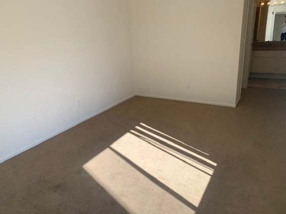 A room with a carpet and sunlight coming through a window.