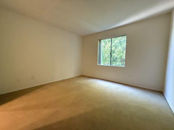 A room with a window and a carpeted floor.