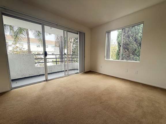 A room with carpeted floor and sliding glass doors.