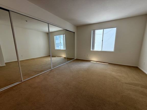 A room with a carpeted floor and two windows.