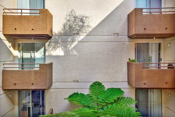 A building with balconies and a green plant in front.