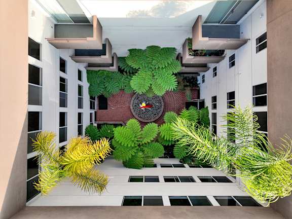 A green plant is in the middle of a room.