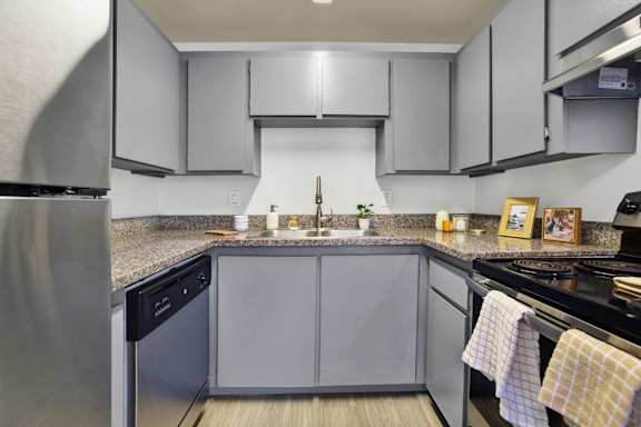 A kitchen with a black dishwasher and a black stove top oven.