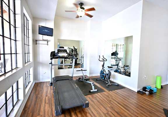 A spacious home gym with a treadmill, exercise bike, and mirror.
