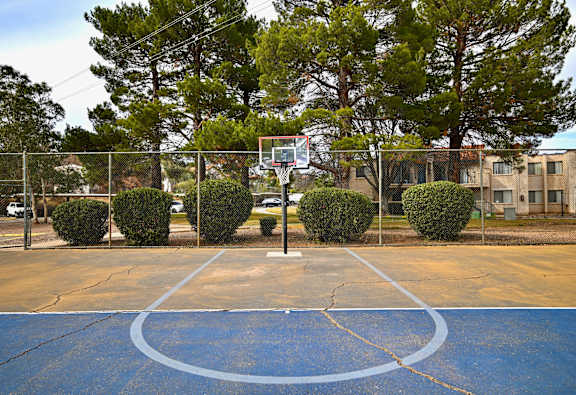 A basketball court with a hoop and net in the middle of it.