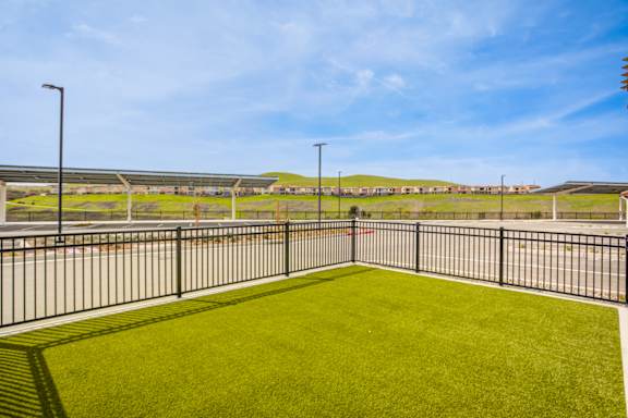 A green lawn in the foreground with a fence and a road in the background.