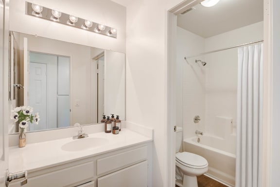 a bathroom with a sink and a toilet