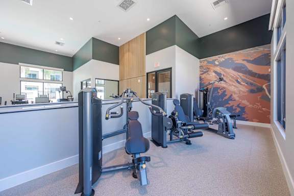 Equipped gym1 at The Overlook Santa Clarita, Santa Clarita, CA
