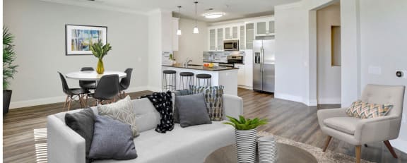 Modern Living Area  at Apex Mission Valley, California