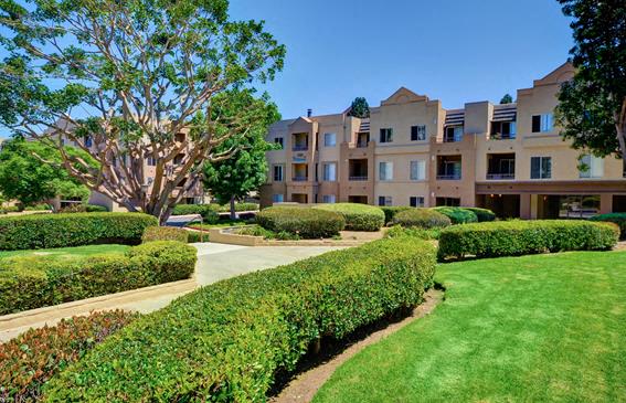 Pet Friendly Apartments in La Jolla San Diego Nobel Court