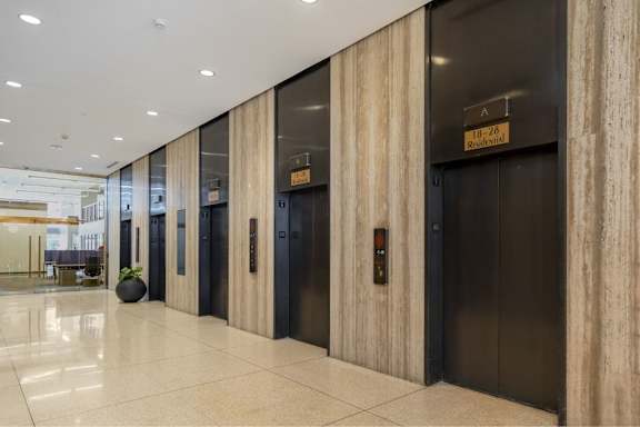 A hallway with elevators and a plant.