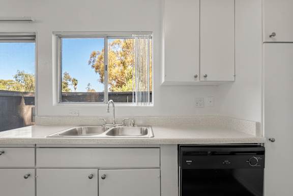 A kitchen with white cabinets and a black dishwasher.