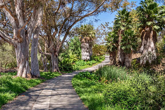 A pathway surrounded by trees and greenery.