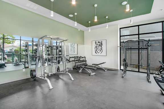 the gym at the preserve at johnsons crossing