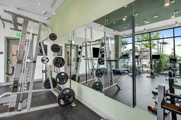 a gym with weights and mirrors in aria resort and spa
