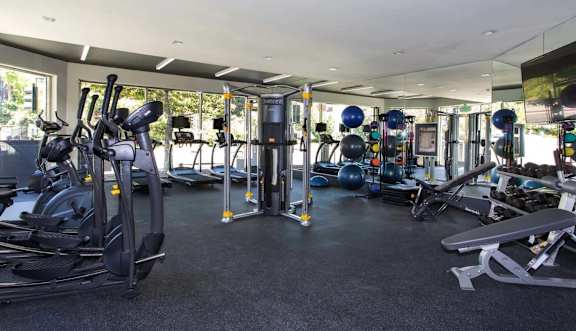 A gym with a variety of equipment including treadmills, weights, and exercise balls.