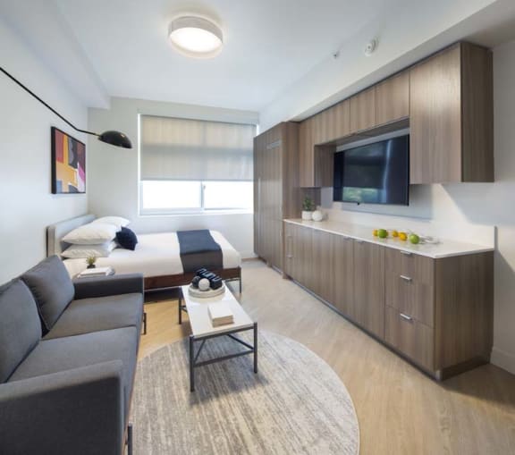 a living room with a couch and a television