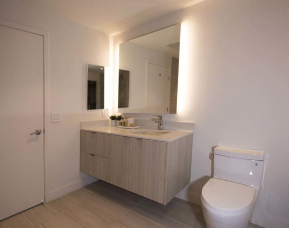a bathroom with a toilet and a sink and a mirror