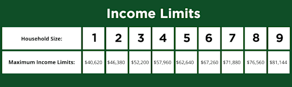 A table displaying income limits for different household sizes.
