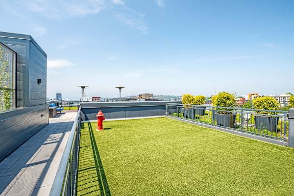 Rooftop green space with artificial turf and skyline views at The Lyric Apartments, Washington, 98102