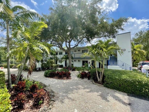 a house with a driveway and palm trees in front of it