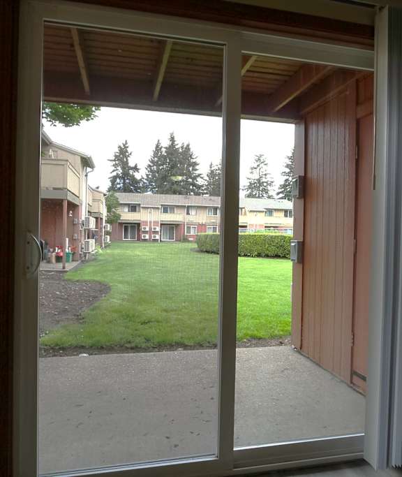 A view of a courtyard through a sliding glass door.