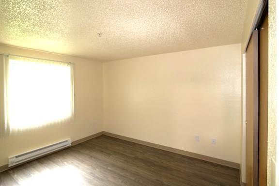 A room with a window and a radiator on the floor.
