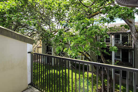 A balcony with a metal railing and a tree in the background.
