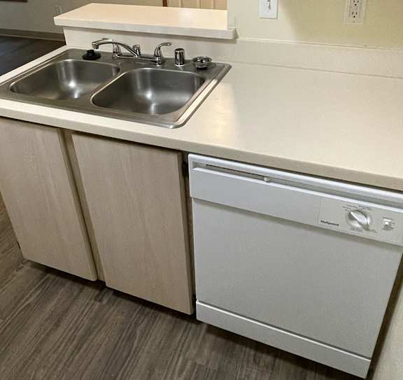 A kitchen with a double sink and a dishwasher.