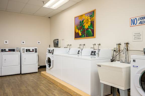 A laundromat with a sunflower on the wall and a sign that says