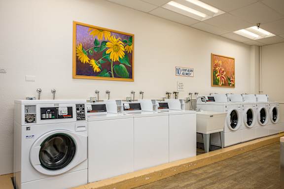A row of washing machines in a laundromat.