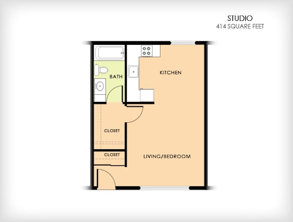 A floor plan of a studio apartment with a living/bedroom area, kitchen, and two closets.