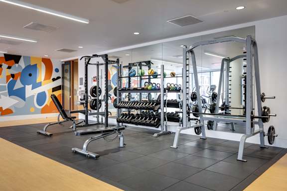 A gym with a variety of equipment including weights and weight machines.