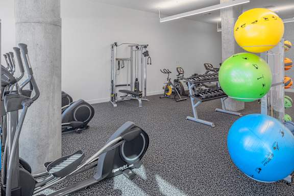 A gym with a row of treadmills, a row of stationary bikes, and a row of exercise balls.
