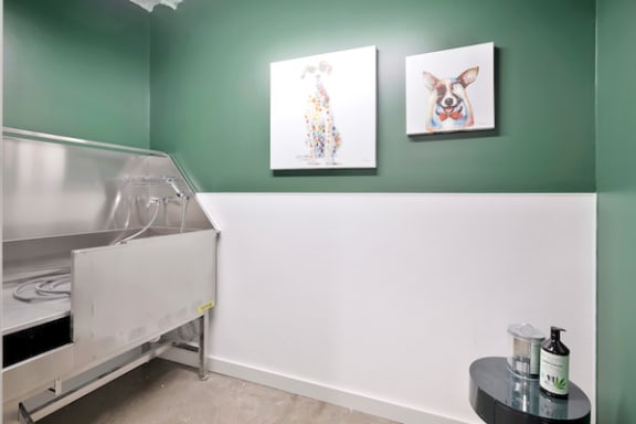 Pet Spa dog wash at The Citizen Birmingham Apartments