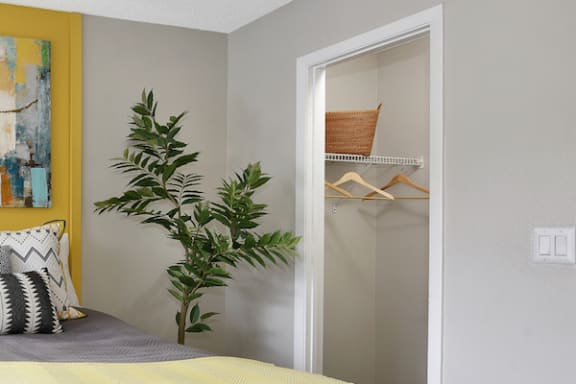 the walk-in closet in the model bedroom with furnishings and a fiddle leaf fig tree as decor