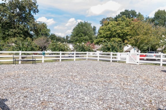 fenced in dog park