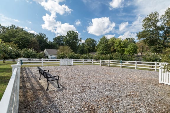 a bench overlooking a fenced in dog park
