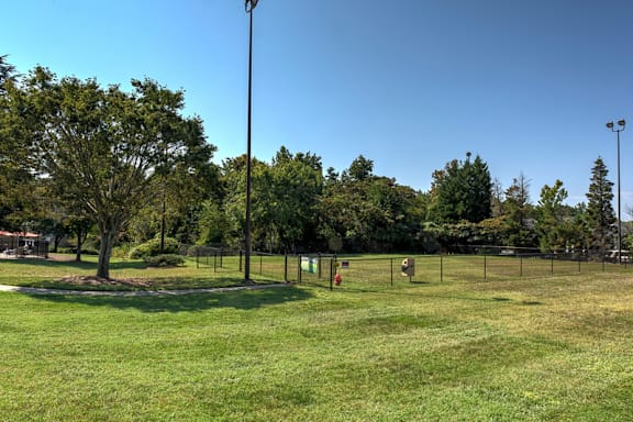 A park with a grassy field, trees, and a fence at Fox Hollow Apartment Homes, North Carolina
