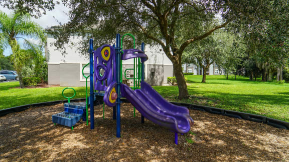 Outdoor playground equipped with a slide, monkey bars, and latter