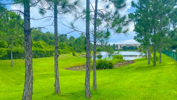 a grassy area with trees in the foreground and a body of water in the background