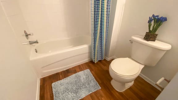 Bathroom with wood floors, toilet, shower tub combo with tile back spash, blue accent plant, rug and shower curtain