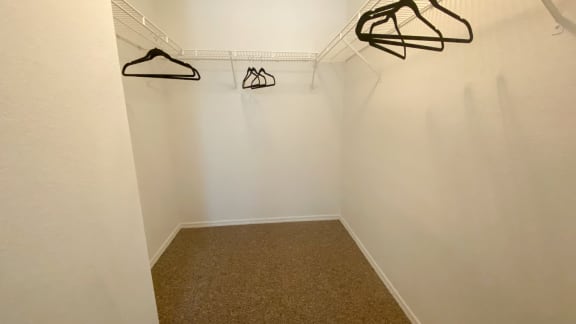 Spacious carpeted closet with mounted metal shelves and hangers