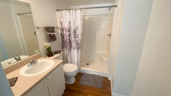 Bathroom with wood floors, toilet, tan vinyl counter top vanity, while cabinets, walk in shower with ledge, and purple accent plant, rug and shower curtain