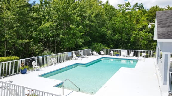 Swimming pool with lounge seating surrounded by native landscaping