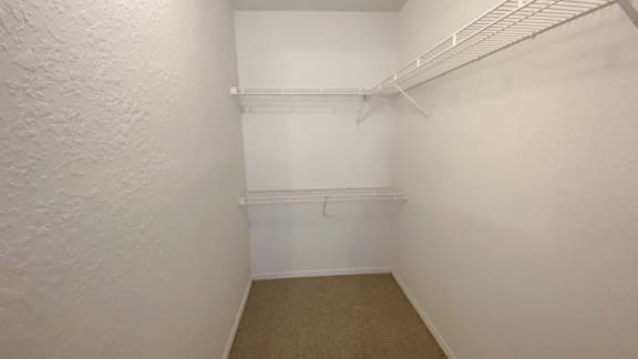 Walk-in closet with carpet flooring
