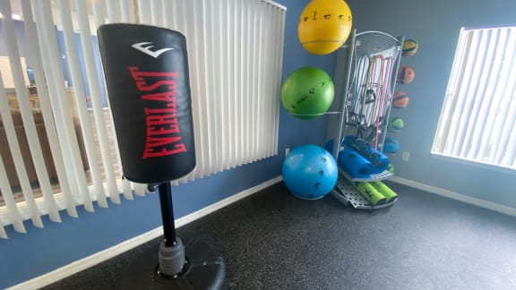 Fitness center equipped with punching bag
