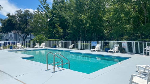 Swimming pool with lounge seating surrounded by native landscaping