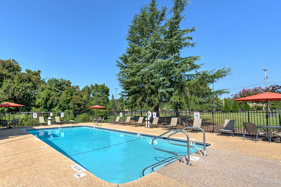 A large swimming pool surrounded by trees and lounge chairs at Fox Hollow Apartment Homes, High Point, North Carolina