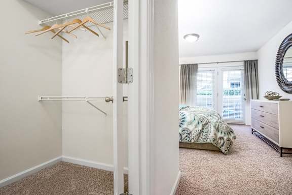 Large Closet at Central on the Green Apartment Homes, North Carolina, 27604